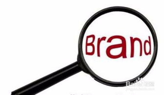 企业形象策划 构建品牌灵魂与市场竞争力的核心工程
